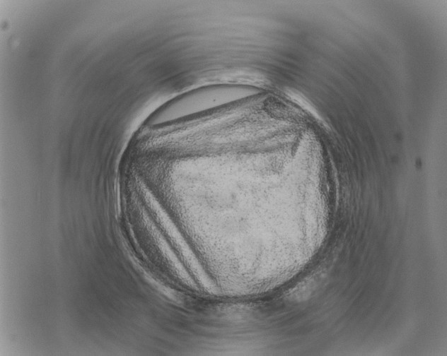 X0000073701079200608311724