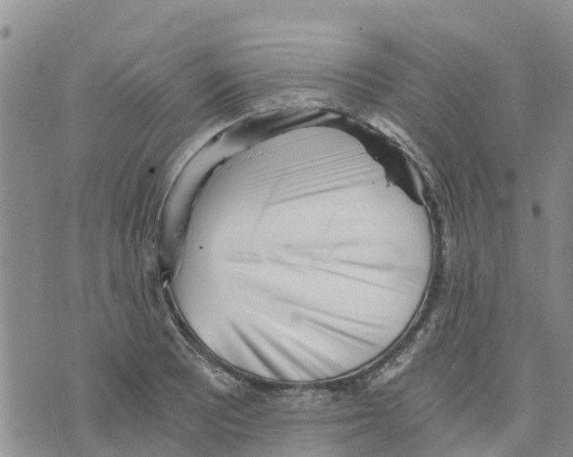 X0000073701081200608311724