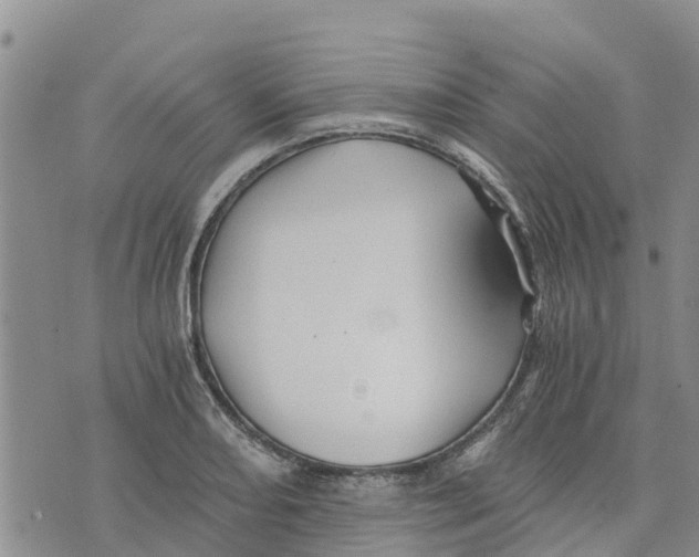 X0000073701082200608311724