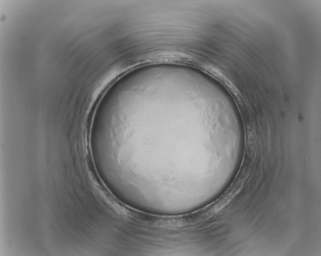 X0000073701083200608311724