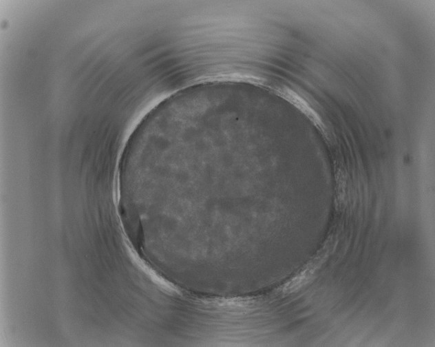 X0000073701084200608311724