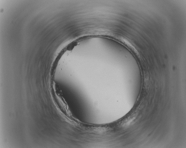 X0000073701085200608311724