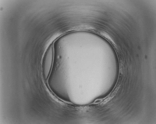 X0000073701087200608311724