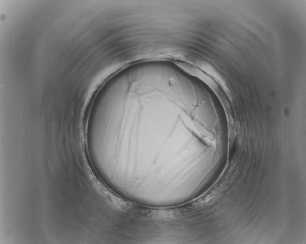 X0000073701088200608311724