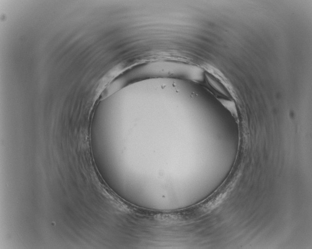 X0000073701089200608311724