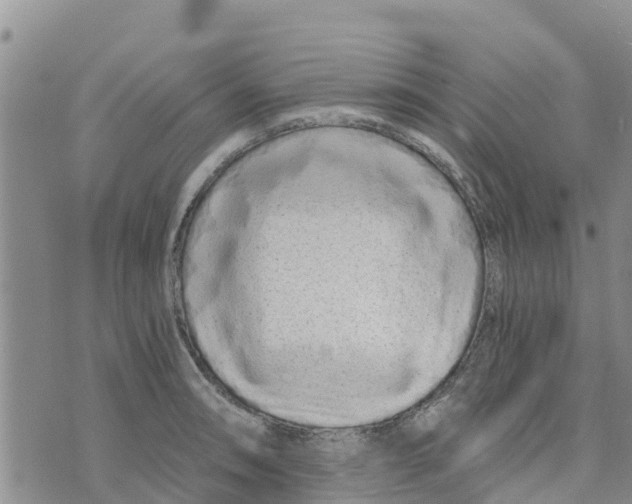 X0000073701090200608311723