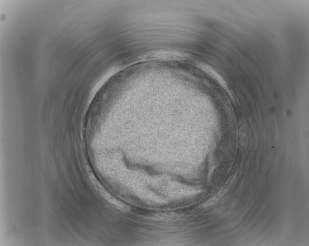 X0000073701091200608311723