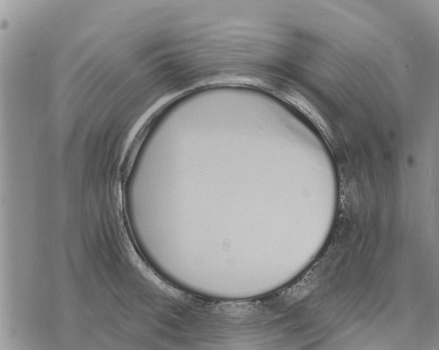 X0000073701092200608311723