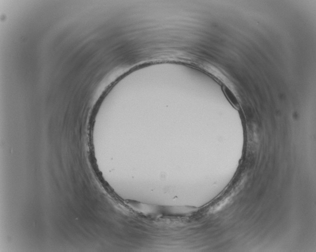 X0000073701093200608311723