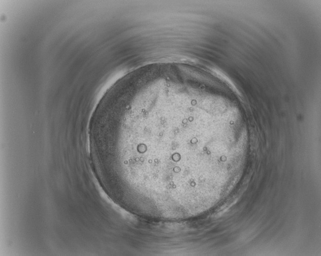 X0000073701095200608311723