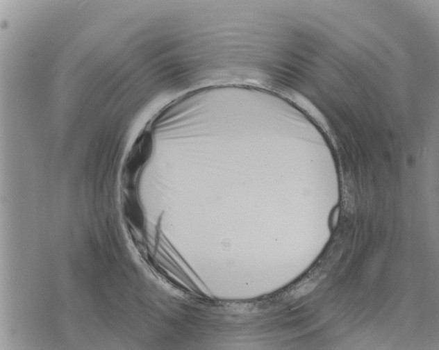 X0000073701096200608311723