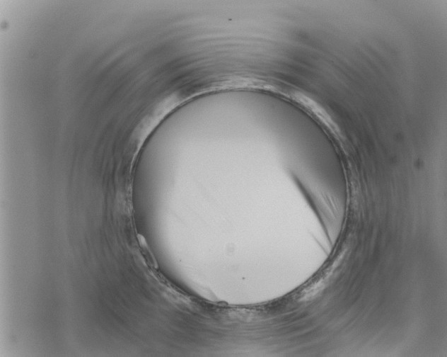 X0000073701097200608311723