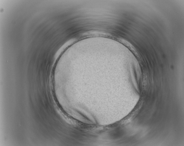 X0000073701098200608311723