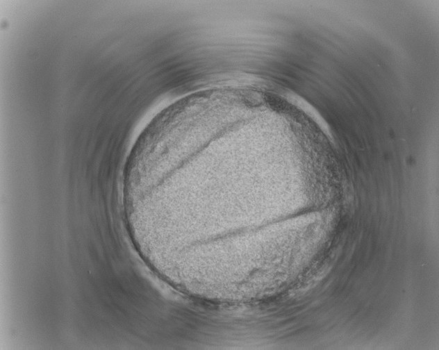 X0000073701099200608311723