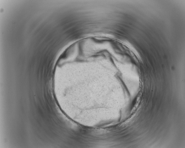 X0000073701100200608311723