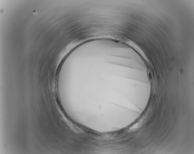 X0000073701101200608311723