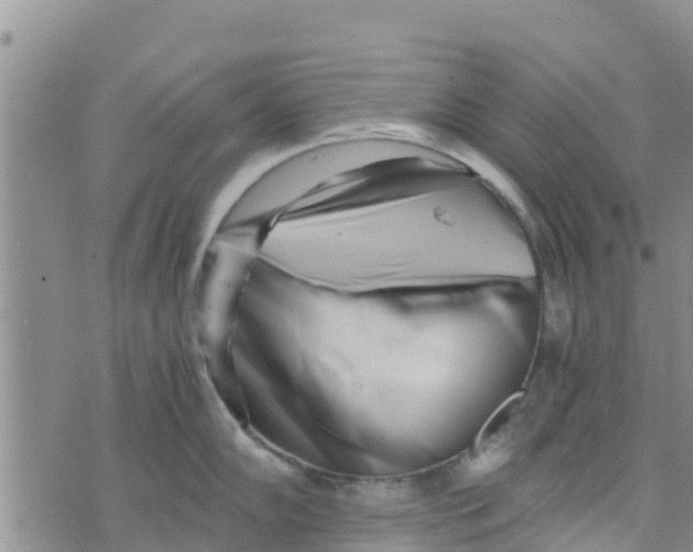 X0000073701102200608311723