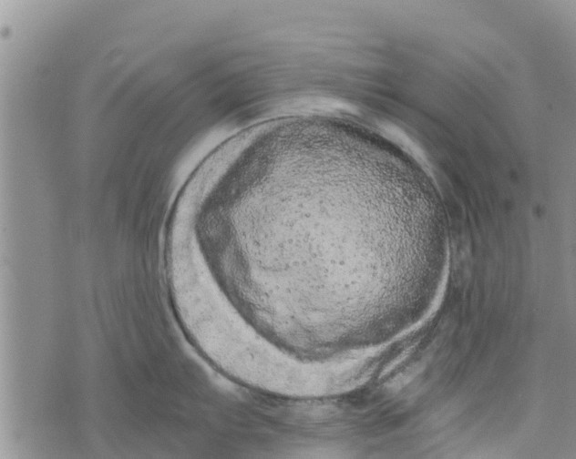 X0000073701103200608311723