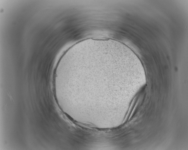 X0000073701104200608311723