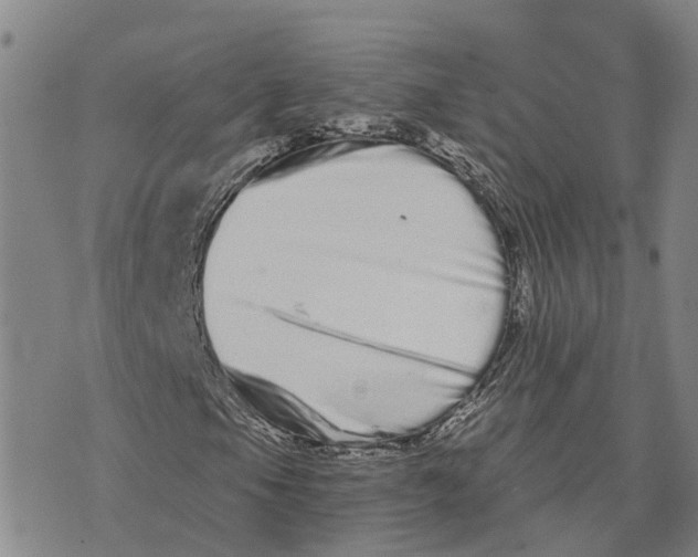 X0000073701105200608311722