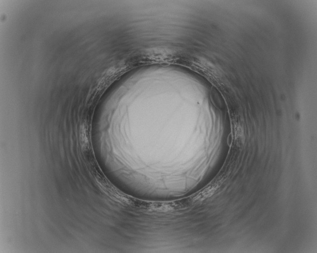 X0000073701106200608311722