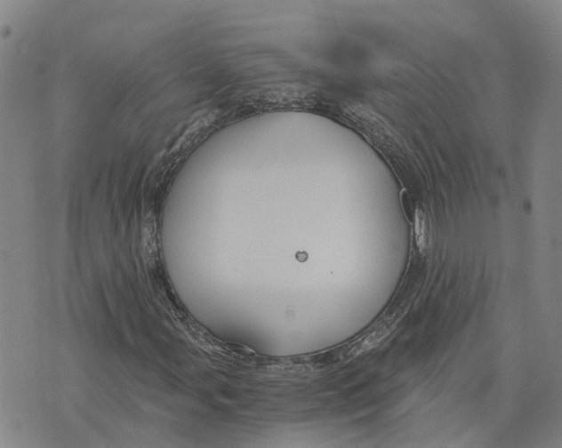 X0000073701107200608311723