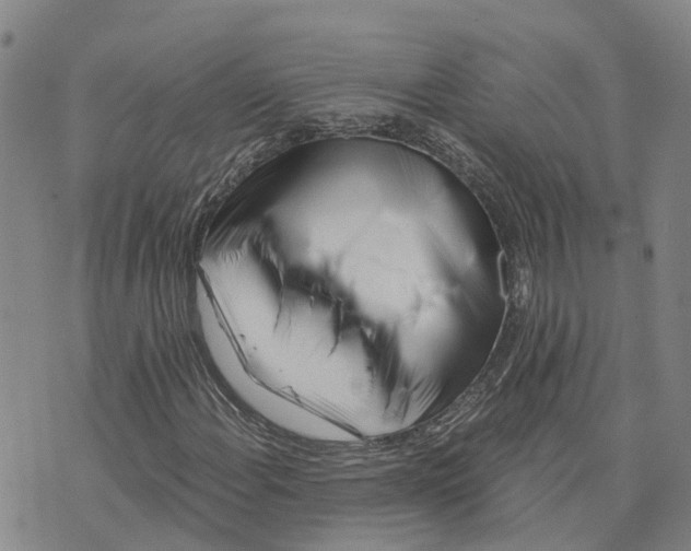 X0000073701108200608311723