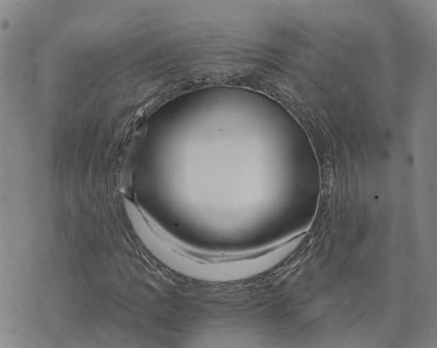 X0000073701109200608311723