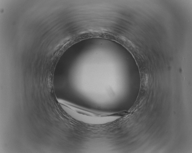 X0000073701110200608311723