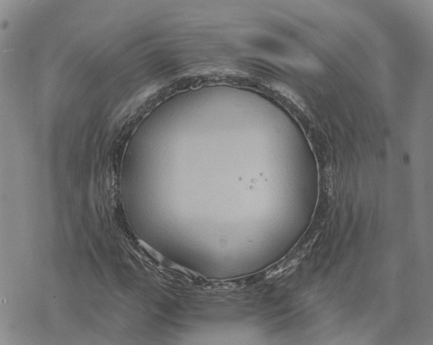 X0000073701111200608311723