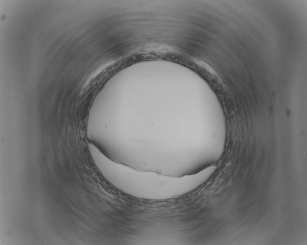 X0000073701112200608311723