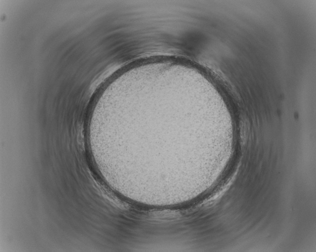 X0000073701113200608311723