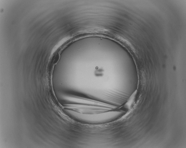 X0000073701114200608311723