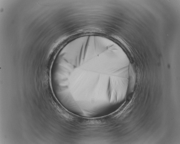 X0000073701115200608311723