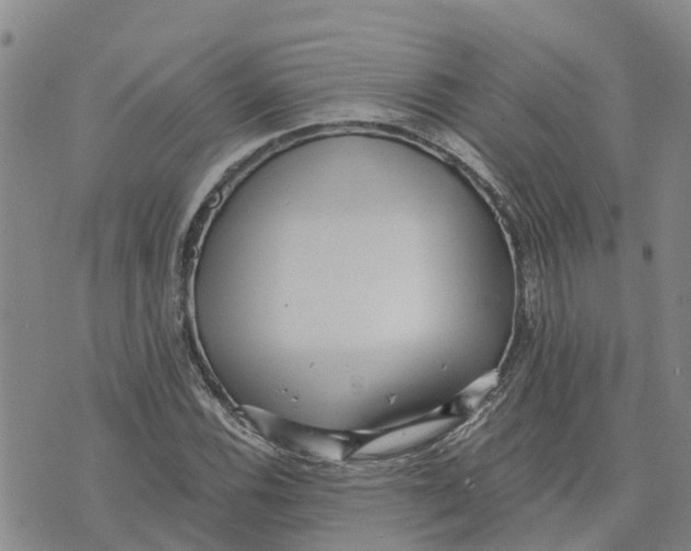 X0000073701116200608311723