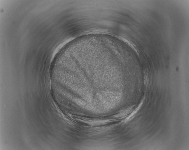 X0000073701117200608311723