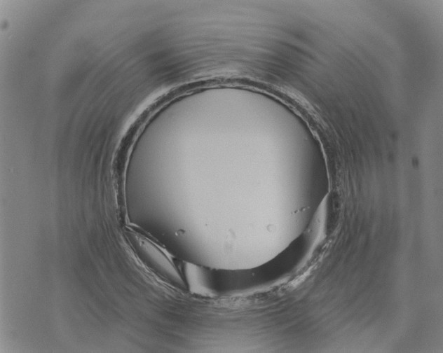 X0000073701118200608311723