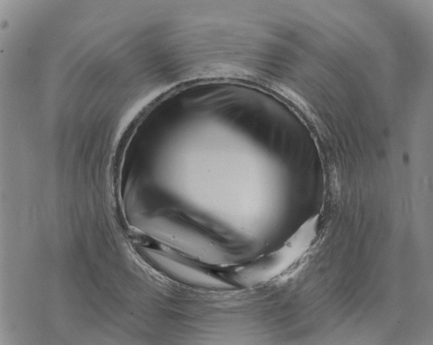 X0000073701120200608311723