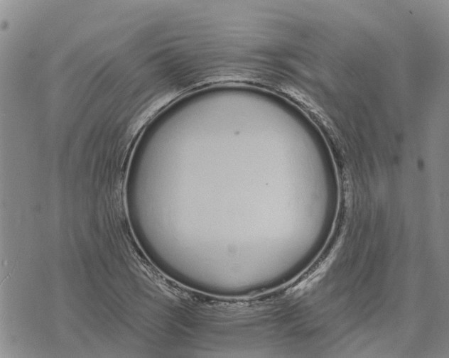 X0000073701121200608311723