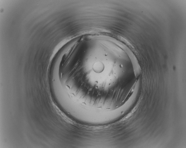 X0000073701122200608311723