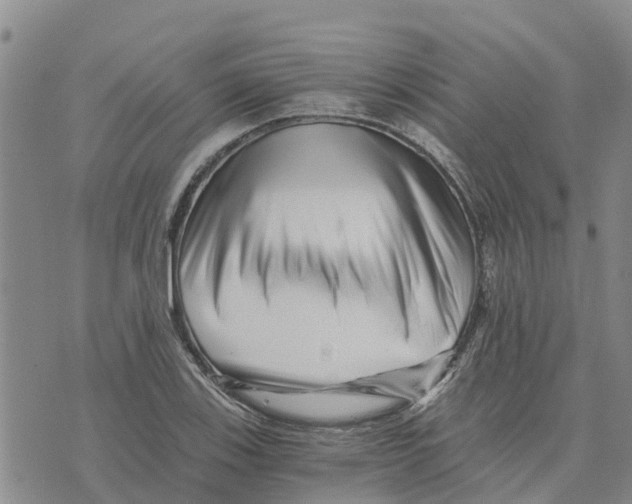 X0000073701123200608311723