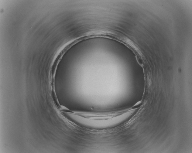 X0000073701124200608311723