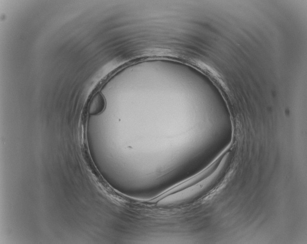 X0000073701125200608311723