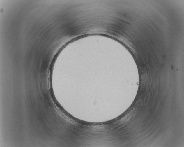 X0000073701126200608311723