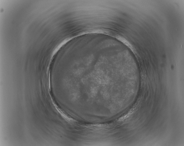 X0000073701127200608311723