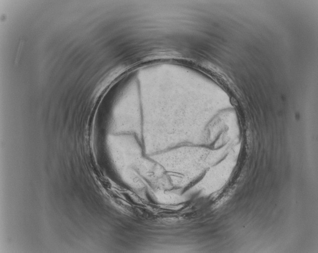 X0000073701129200608311723