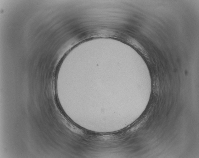 X0000073701130200608311723