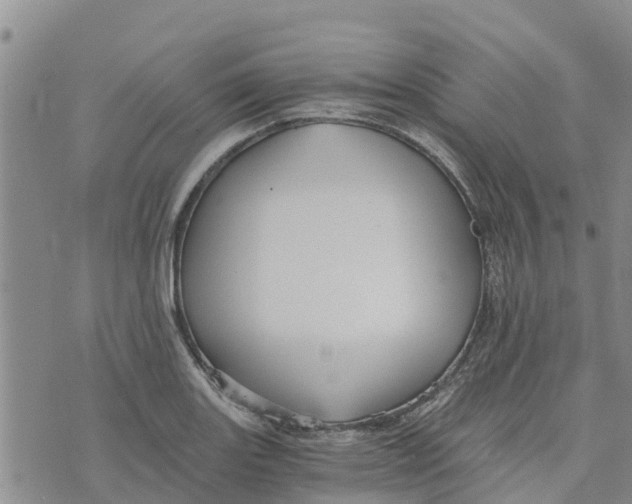 X0000073701131200608311723