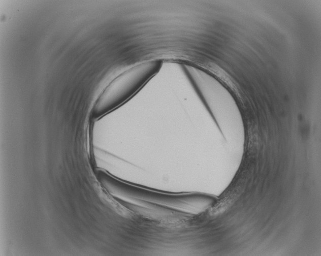 X0000073701132200608311723