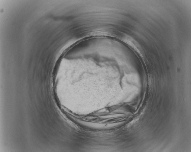 X0000073701133200608311723